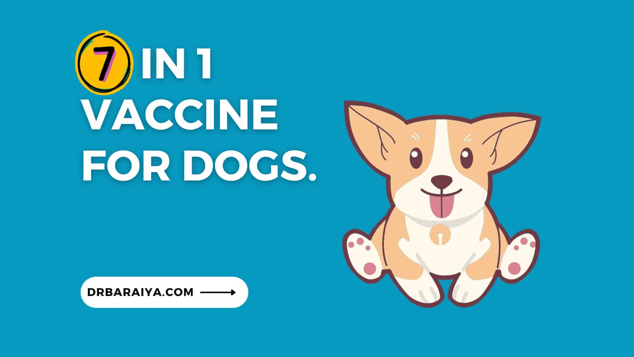 5 in one vaccine for dogs